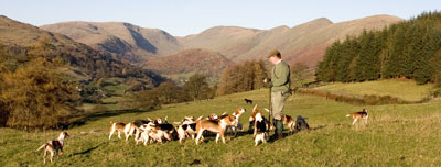 Black Combe Beagles in Troutbeck Images of Lakeland